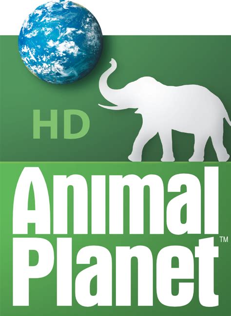 animal planet on chanel|animal planet channel listing guide.